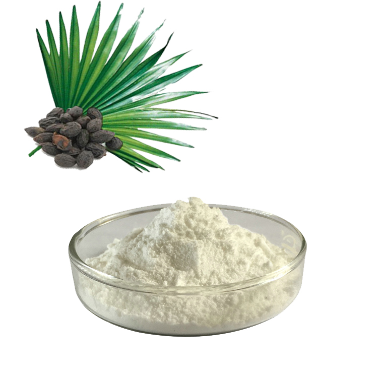 Палметто сығындысы деген не? Saw Palmetto сығындысының пайдасы қандай?